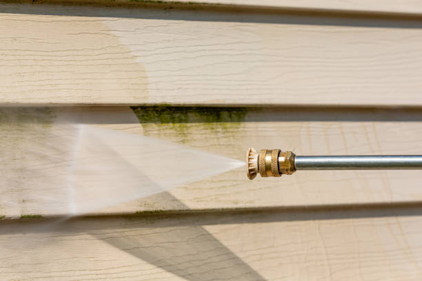 Best Pressure Washing Siding  in Willow, AK