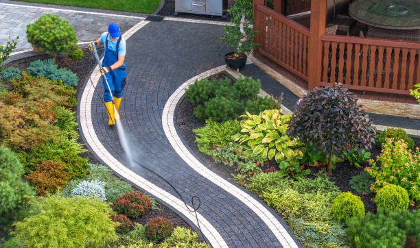 Best Roof Pressure Washing  in Willow, AK