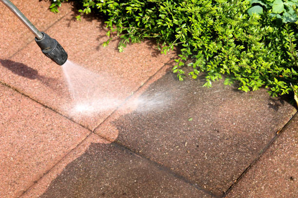 Best Residential Pressure Washing Services  in Willow, AK
